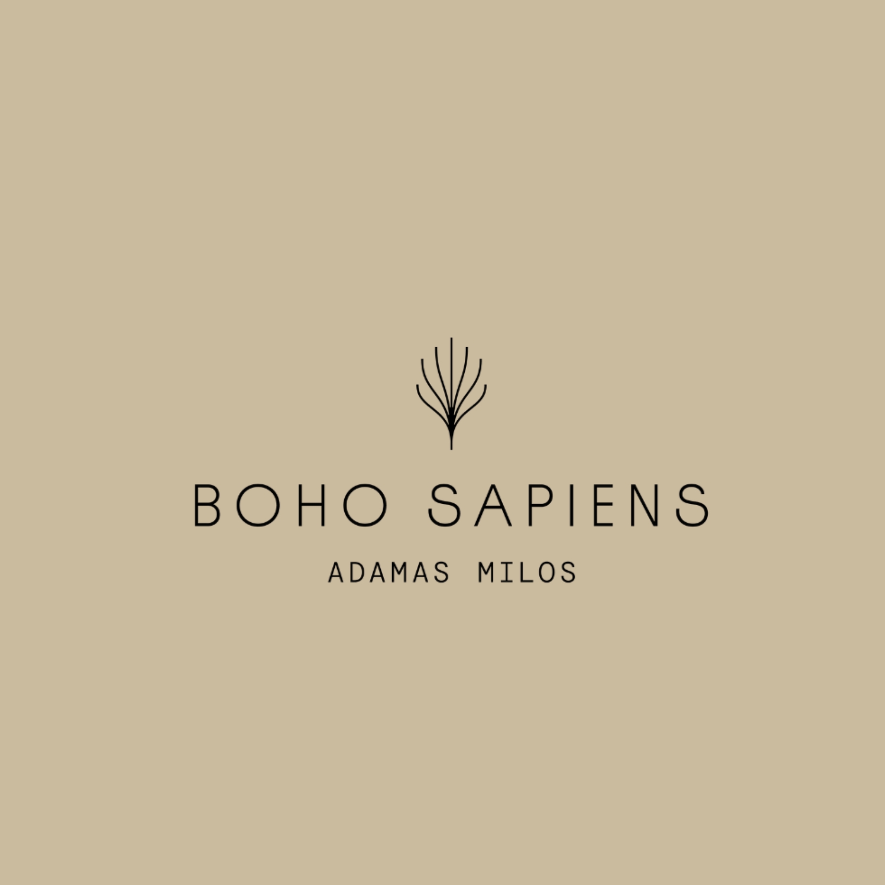 boho sapiens branding logo