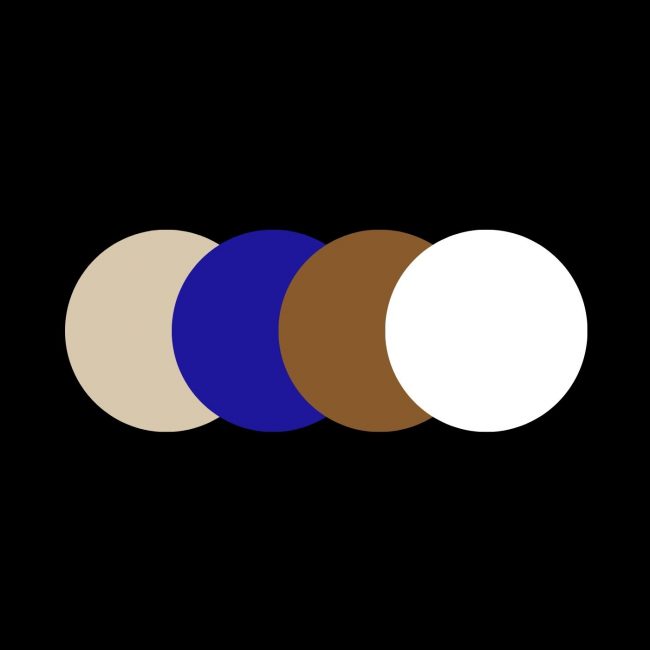 The Matter Development colour palette in four circles